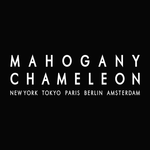 Mahogany Chameleon